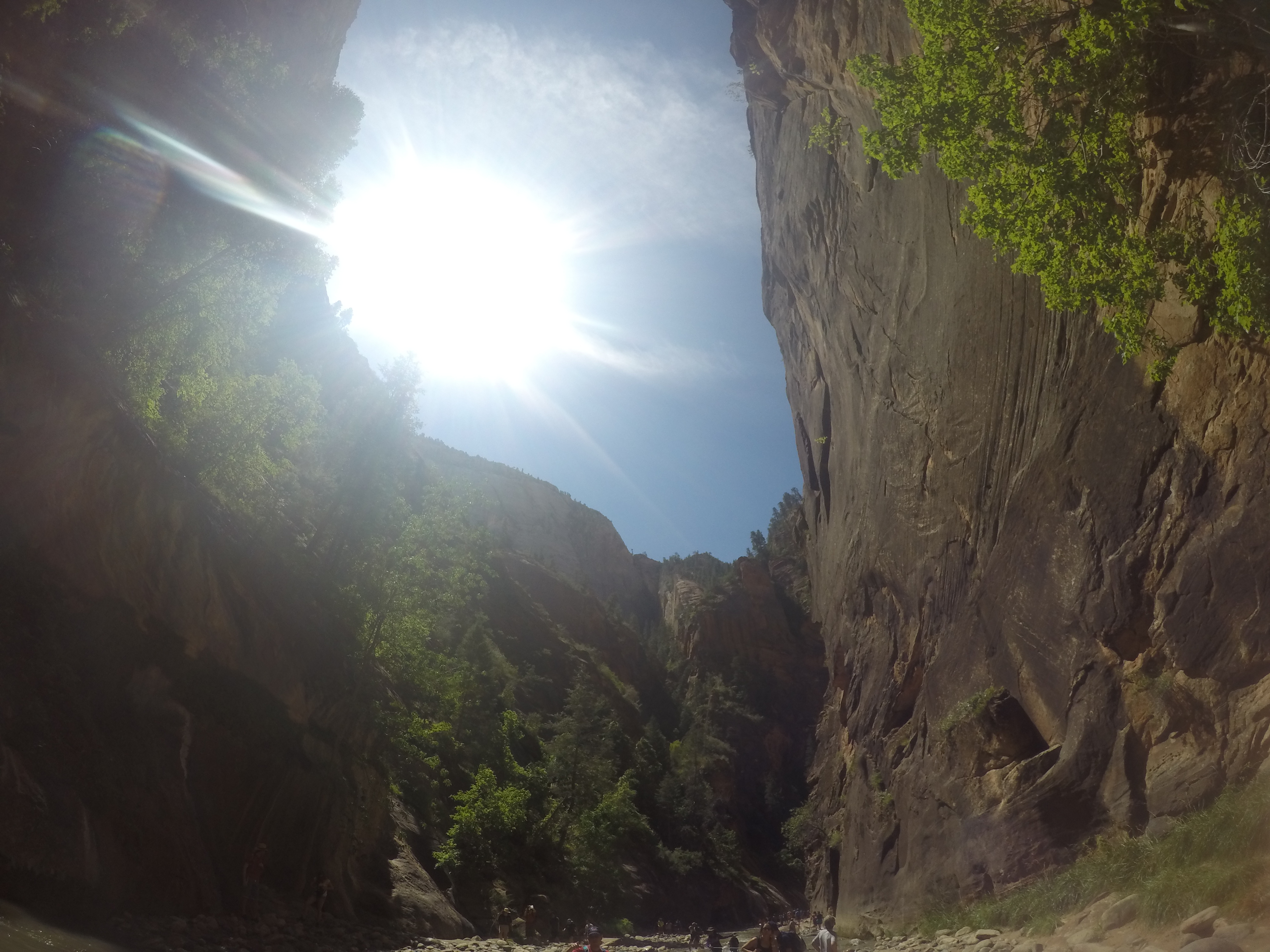 DCIM100GOPROGOPR1194.