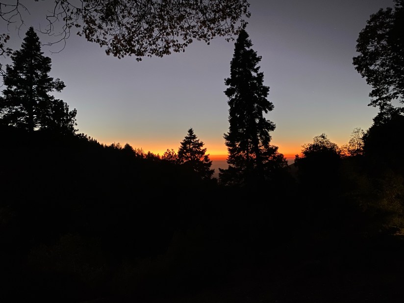 This image has an empty alt attribute; its file name is img_9150.jpg