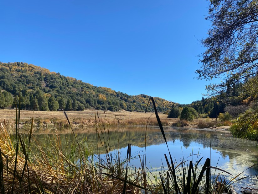 This image has an empty alt attribute; its file name is img_9251.jpg