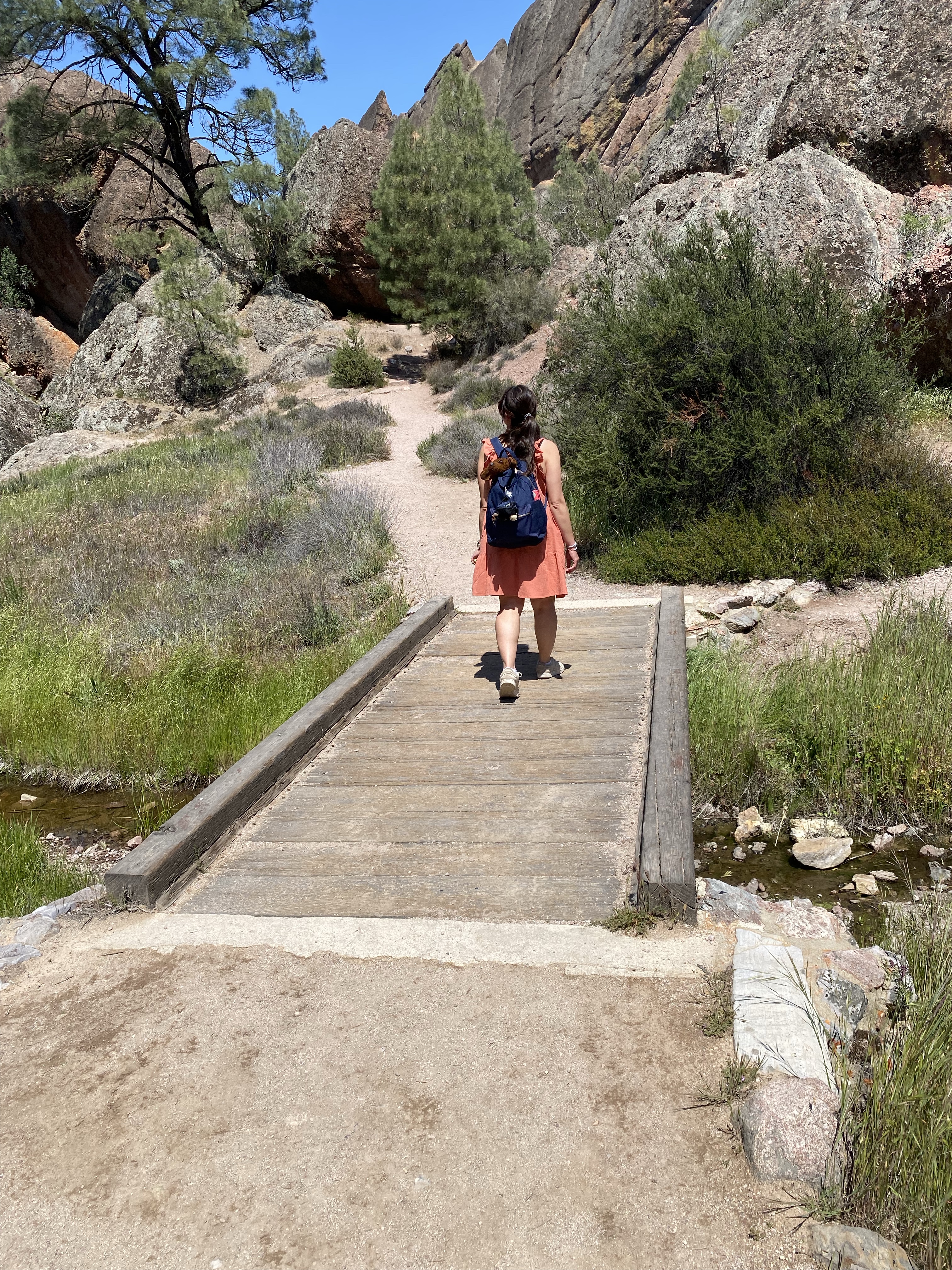 West Pinnacles – The Cranky Camper